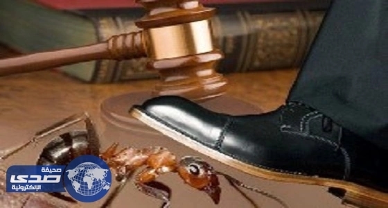 الإعلامية السودانية جدية عثمان سفيرة للسلام