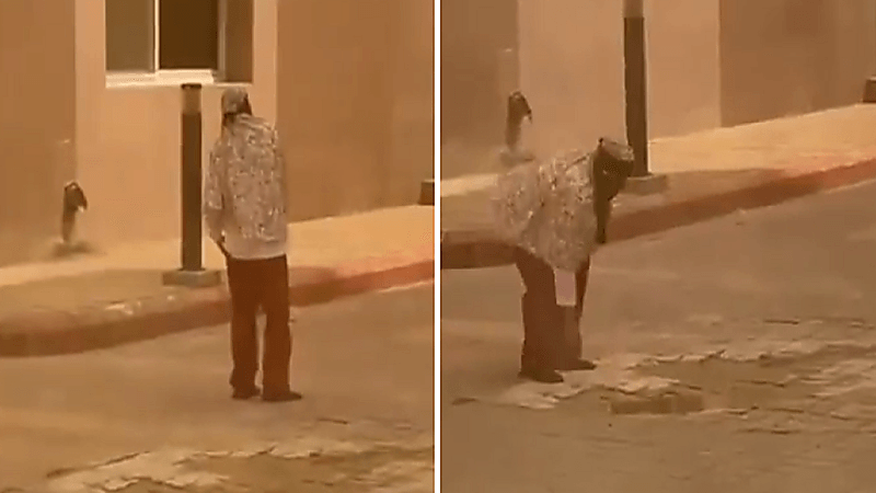 جامعة الباحة تتحرك في واقعة قيام عاملة نظافة بسلوك مشبوه بشطر الطالبات بالمخواة