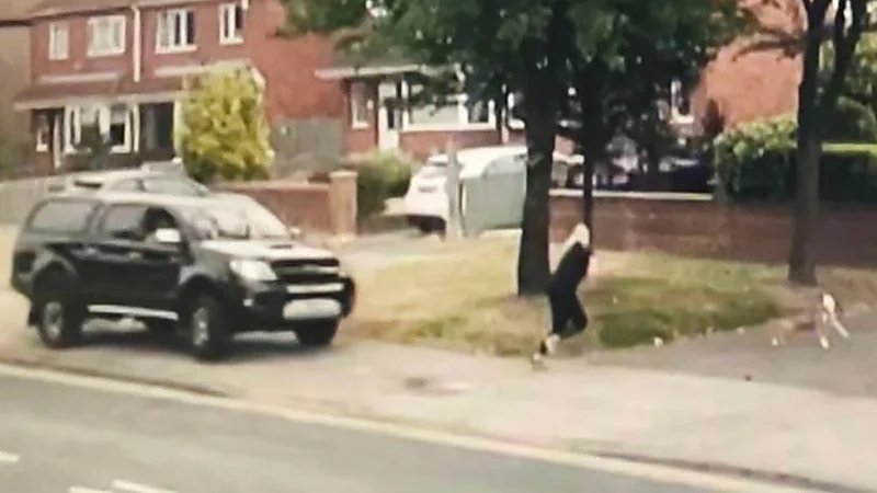 شاهد.. لحظة إنقاذ كلب لصاحبته من حادث مميت