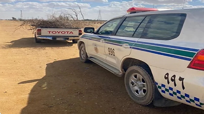 ضبط 5 مخالفين بحوزتهم حطب محلي معروض للبيع