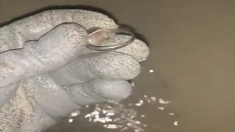 شخص يوثق لحظة عثوره على خاتم في البحر داخله سحر!.. فيديو