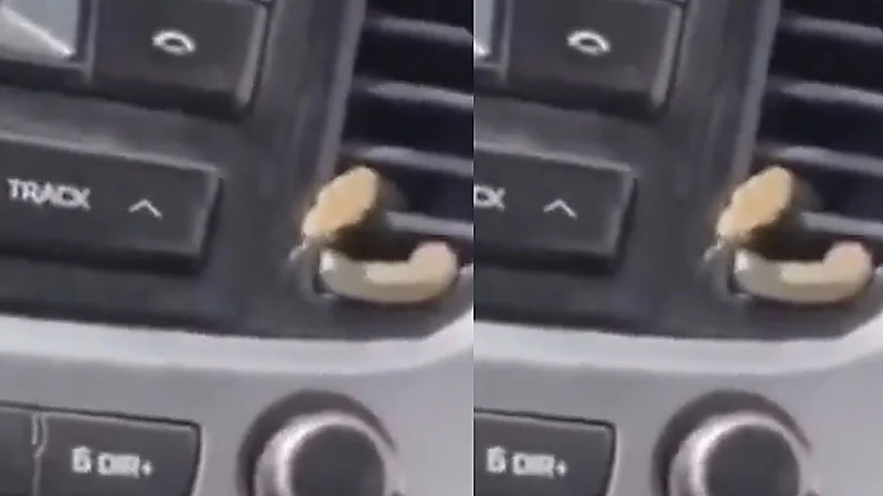 رجل يتفاجأ بخروج ثعبان من سيارته بسبب ارتفاع درجات الحرارة .. فيديو