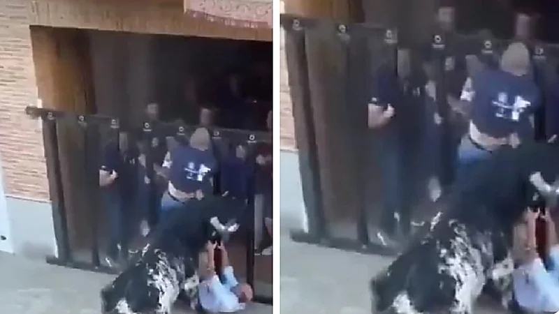 وفاة رجل متأثراً بإصابات الحقها به ثور في مهرجان بـ إسبانيا.. فيديو