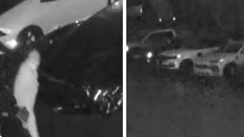 شابان يسرقان سيارتين رياضيتين فاخرتين بطريقة غريبة.. فيديو