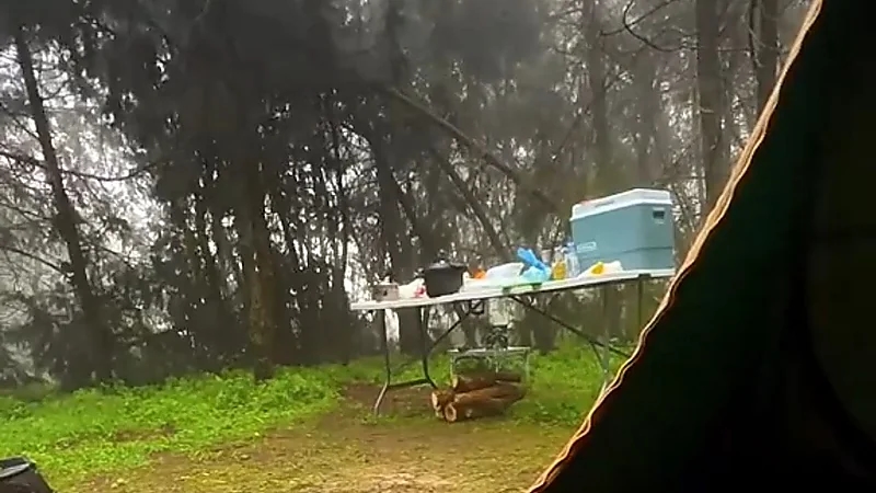 شاب يوثق رحلته في طبيعة المملكة الساحرة .. فيديو