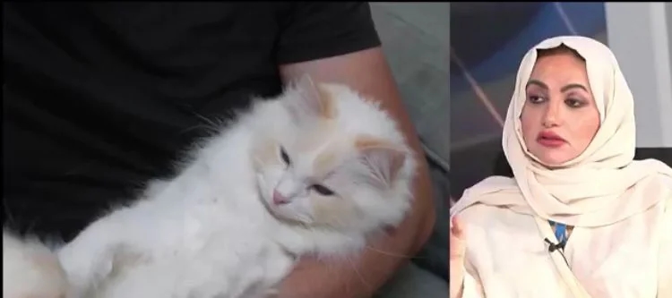 طبيبة :يجب غسل اليدين جيدا قبل ملامسة الحيوانات ومنع دخولهم غرفة النوم ..فيديو