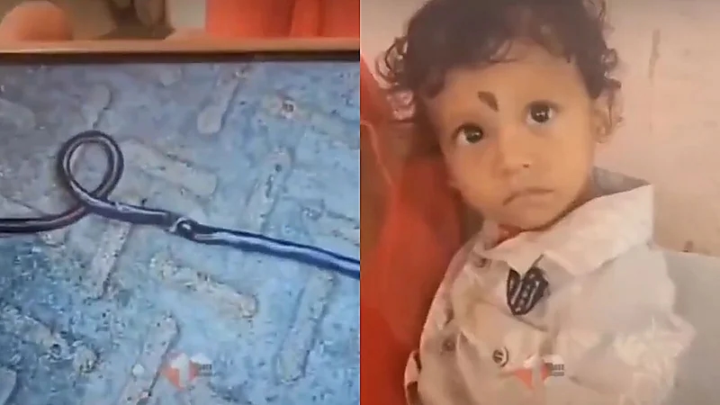 طفل رضيع يعض ثعبانًا حتى الموت خلال لعبه بالشرفة .. فيديو