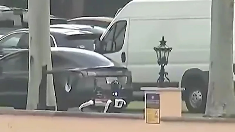 ترامب يستعين بكلاب آلية لحراسته في مقر اقامته .. فيديو