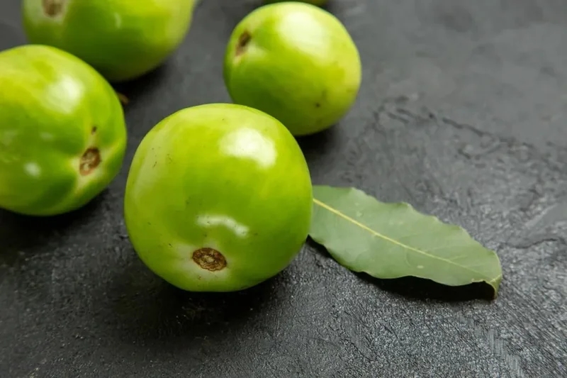 5 فوائد صحية لفاكهة الأملا الهندية.. أهمها تنظيم مستويات السكر في الدم