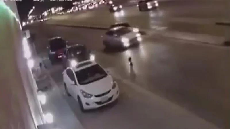 طفل صغير يتسبب في حادث انقلاب مركبة ومطالبات بتكريم السائق.. فيديو