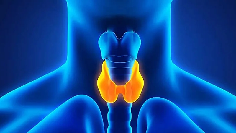 تحذير لمرضى الغدة الدرقية: أطعمة شائعة قد تُضعف فعالية العلاج