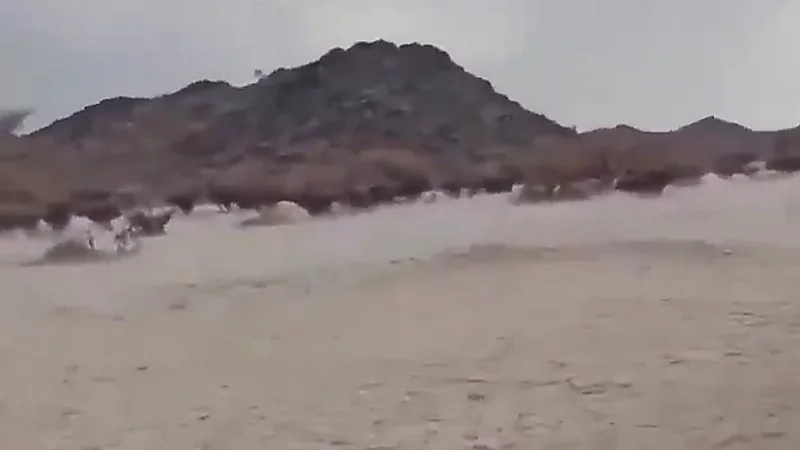 الضباب والبرد يكسو جنوب بيشة ..فيديو