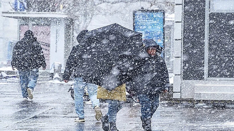 دقائق بيولوجية في الهواء تتحكم بهطول الأمطار وتطور الطقس