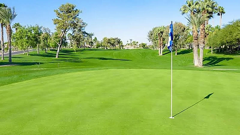 مختصون:العيش بجوار ملاعب الجولف يتسبب في الإصابة بمرض باركنسون