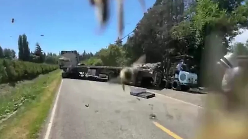 هروب ملايين النحل من شاحنة بعد انقلابها.. فيديو