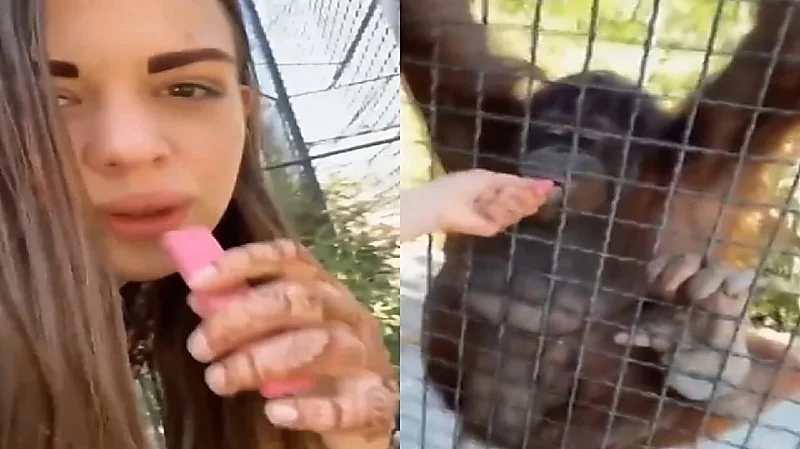 ملاكمة روسية تثير جدلاً بإعطائها سيجارة إلكترونية لقرد .. فيديو