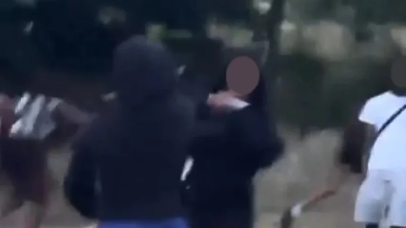 مسلحة تثير الرعب في متنزه بلندن وتختفي قبل تدخل الشرطة .. فيديو