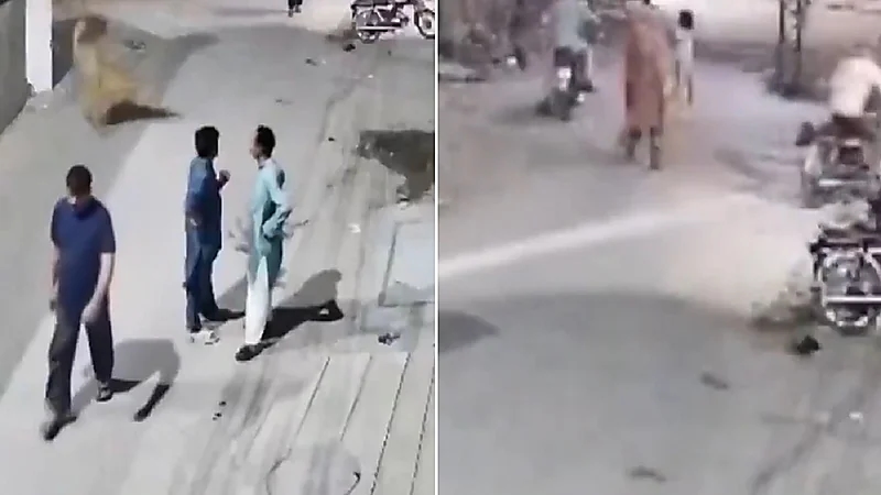 أسد يهاجم أم وطفلة في باكستان .. فيديو