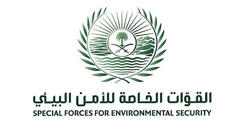 ضبط 28 مخالفًا لنظام البيئة في عدد من مناطق المملكة ..فيديو