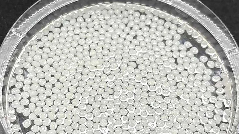 اكتشاف صيني: خرزات نباتية تساعد على إنقاص الوزن