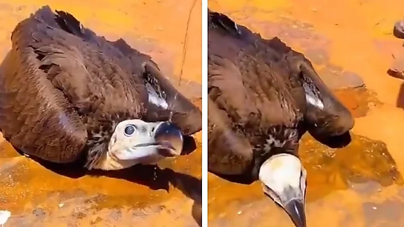 WhatsApp Image 2025-09-13 at 6.19.46 PM.jpeg