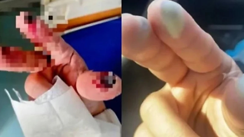 WhatsApp Image 2025-09-25 at 1.14.03 PM.jpeg