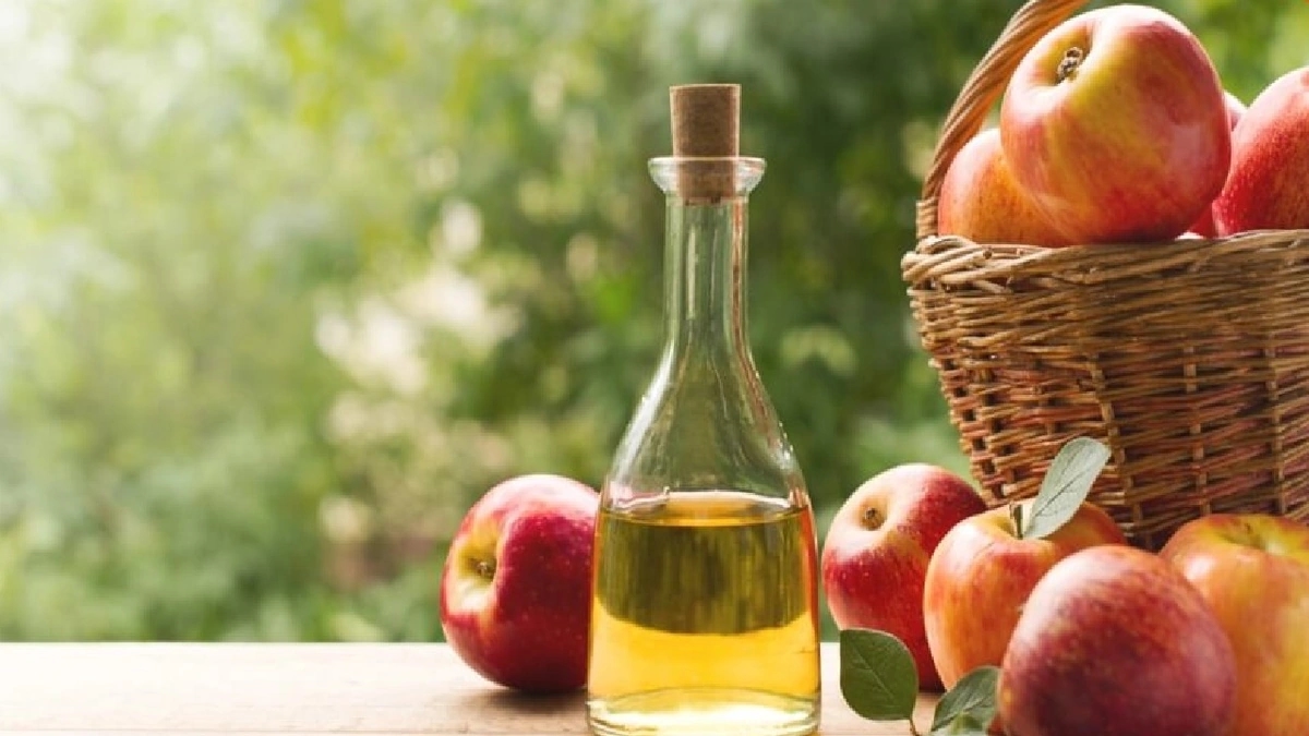 WhatsApp Image 2025-10-12 at 4.37.14 PM.jpeg