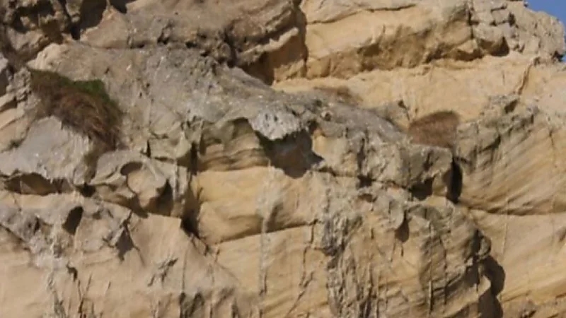 شخص ينجو من الموت بعدما علق في صدع صخري