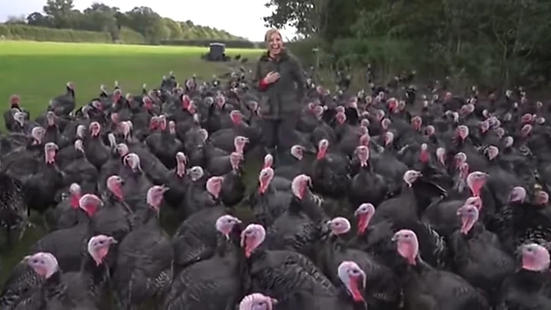 بالفيديو.. ديك رومي يتحرش بمراسلة تلفزيونية