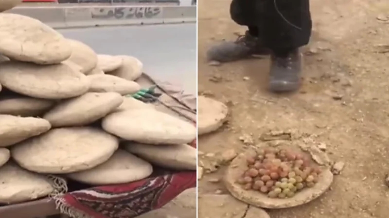 بالفيديو.. أغرب طريقة لحفظ العنب