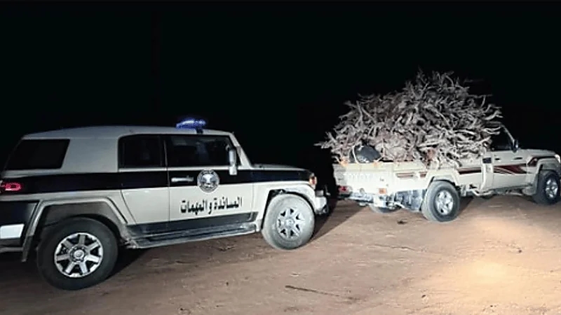 ضبط مخالف لنظام البيئة بحائل