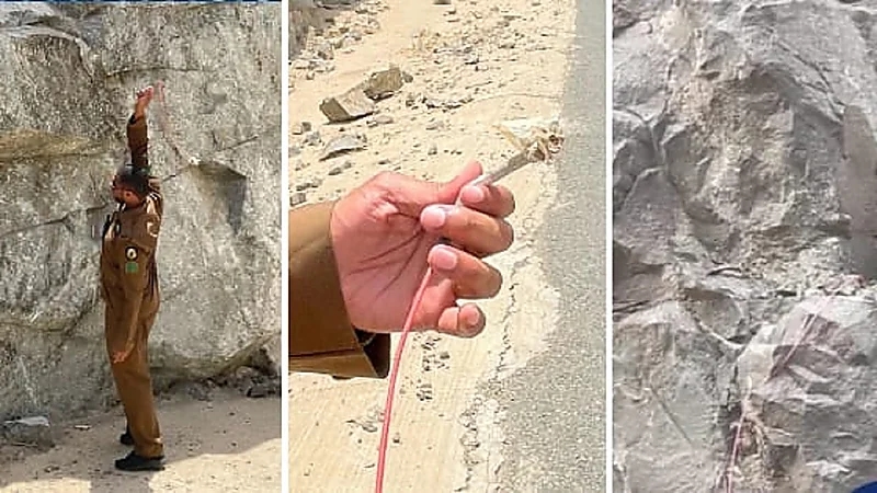 بالفيديو.. الجهات الامنية تؤكد عدم وجود مايثير الهلع لاسلاك ديناميت أم حطب