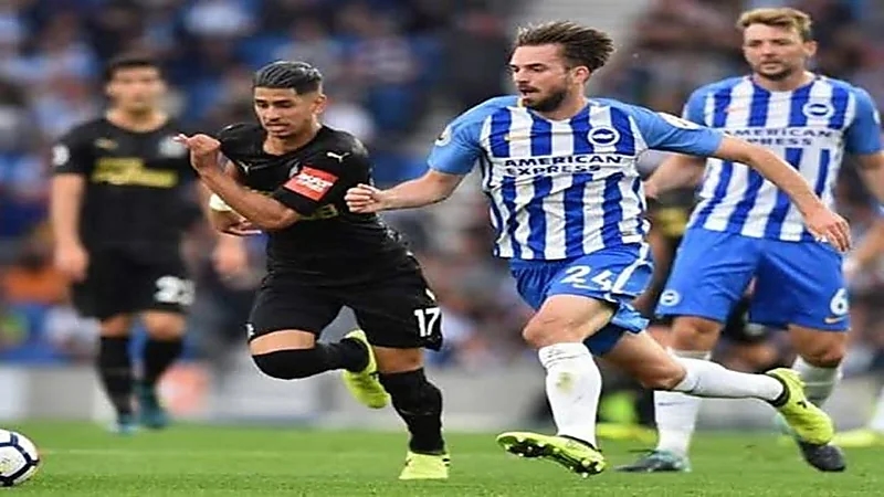 التعادل الإيجابي يحسم مواجهة برايتون ونيوكاسل يونايتد