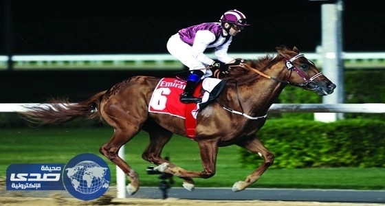 ⁠⁠⁠⁠⁠الشعب الياباني يتغلب علي مشاكل دراسة الخيول