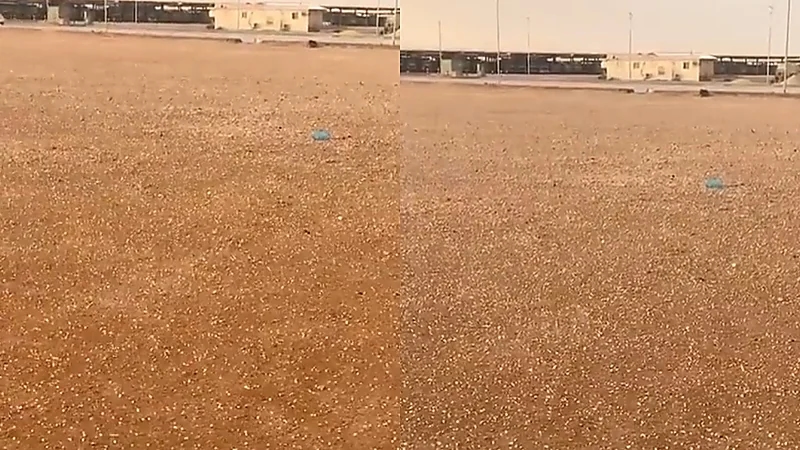 شاهد.. تساقط حبات البرد على حفر الباطن