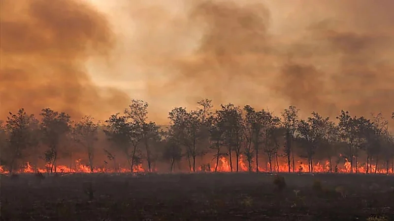 الدول العربية التي تواجه خطر التغيرات المناخية العنيفة