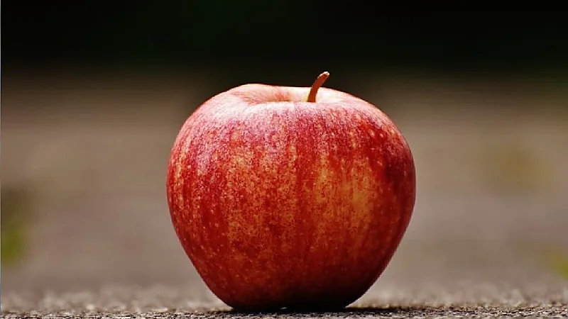 الشهري: تناول تفاحة واحدة يوميا يقلل أسباب الوفاة.. فيديو