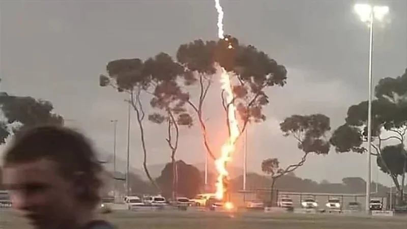 صاعقة رعدية ضخمة تضرب مباراة وتشعل شجرة