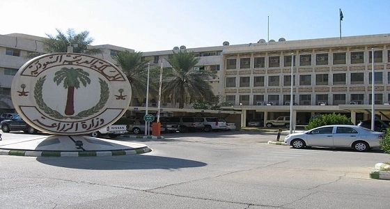 " الزراعة " تتخلص من 400 ألف دجاجة مصابة بأنفلونزا الطيور