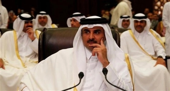 نائبة مصرية عن " قطر " : خنجر مسموم في ظهر العرب