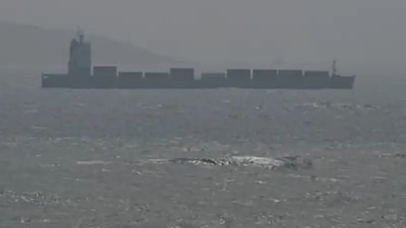 20 سفينة عسكرية صينية وتايوانية تتواجه في مضيق تايوان