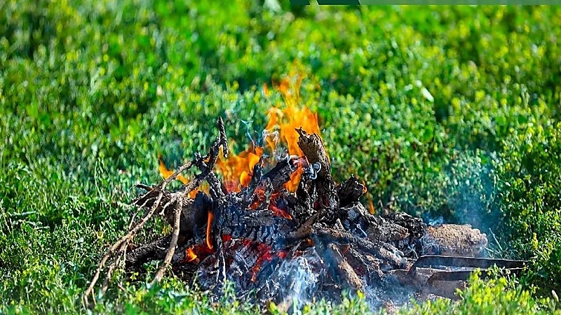 ضبط مواطنًا مخالفًا لنظام البيئة في محمية الأمير محمد بن سلمان الملكية