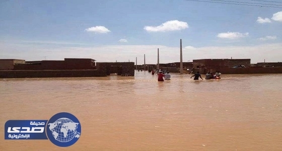 " فيضان سامّ " يقتل نباتات وحيوانات إسرائيلية