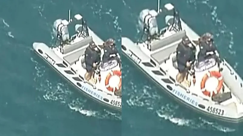 سمكة قرش تلتهم رجلاً حتى الموت أثناء سباحته جنوب أستراليا