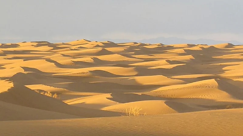 العثور على جثث 5 شبان فقدوا حياتهم أثناء التنقيب غير القانوني عن الذهب