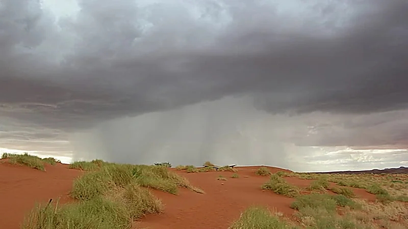 المسند: أمطار الهريف تسقط مع دخول سهيل وقبل الخريف