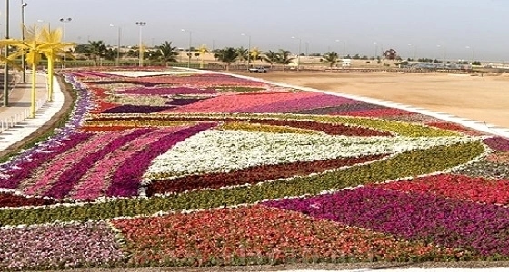 استتعدادات " ينبع " لإنطلاق مهرجان الزهور الـ12