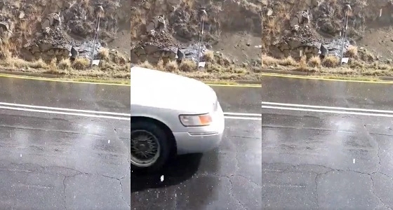 بالفيديو.. حبات البرد تتلألأ بين المركبات في شوارع الطائف