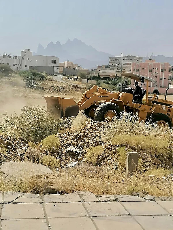 شاهد : شاب بإحدى قرى أضم ينثر موهبته على صخور قريته