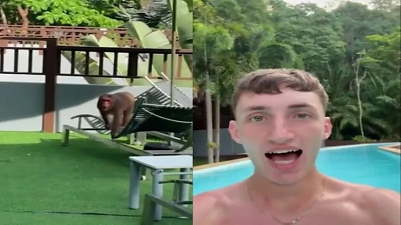 قرود تهاجم سائحًا داخل مسبح في تايلاند.. فيديو